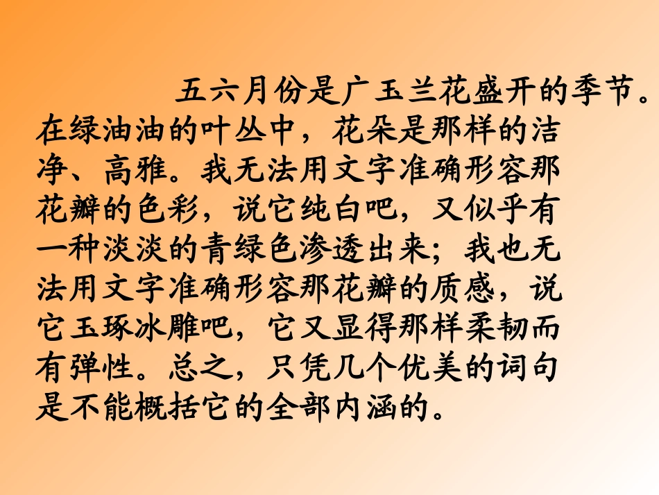 《广玉兰》课件_第3页