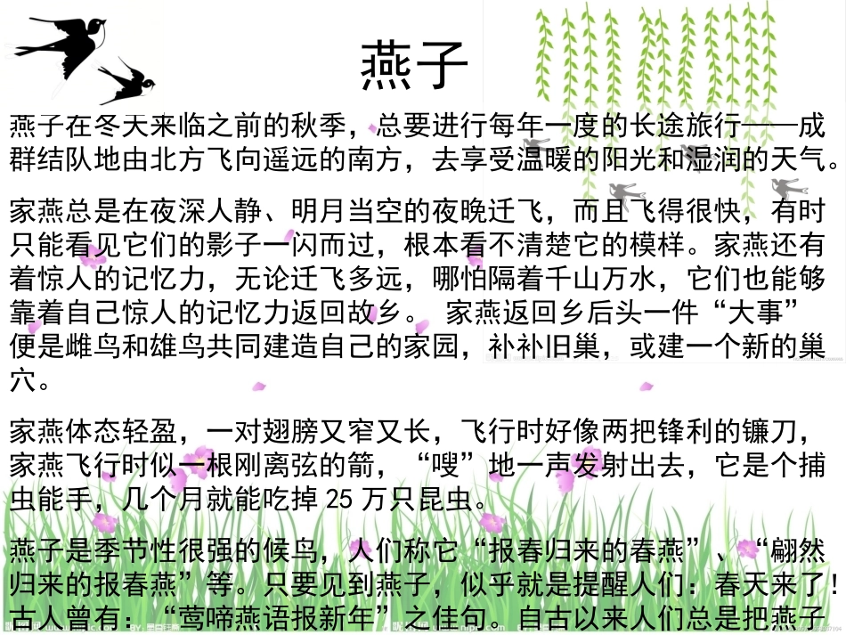 第3课《燕子》_第2页