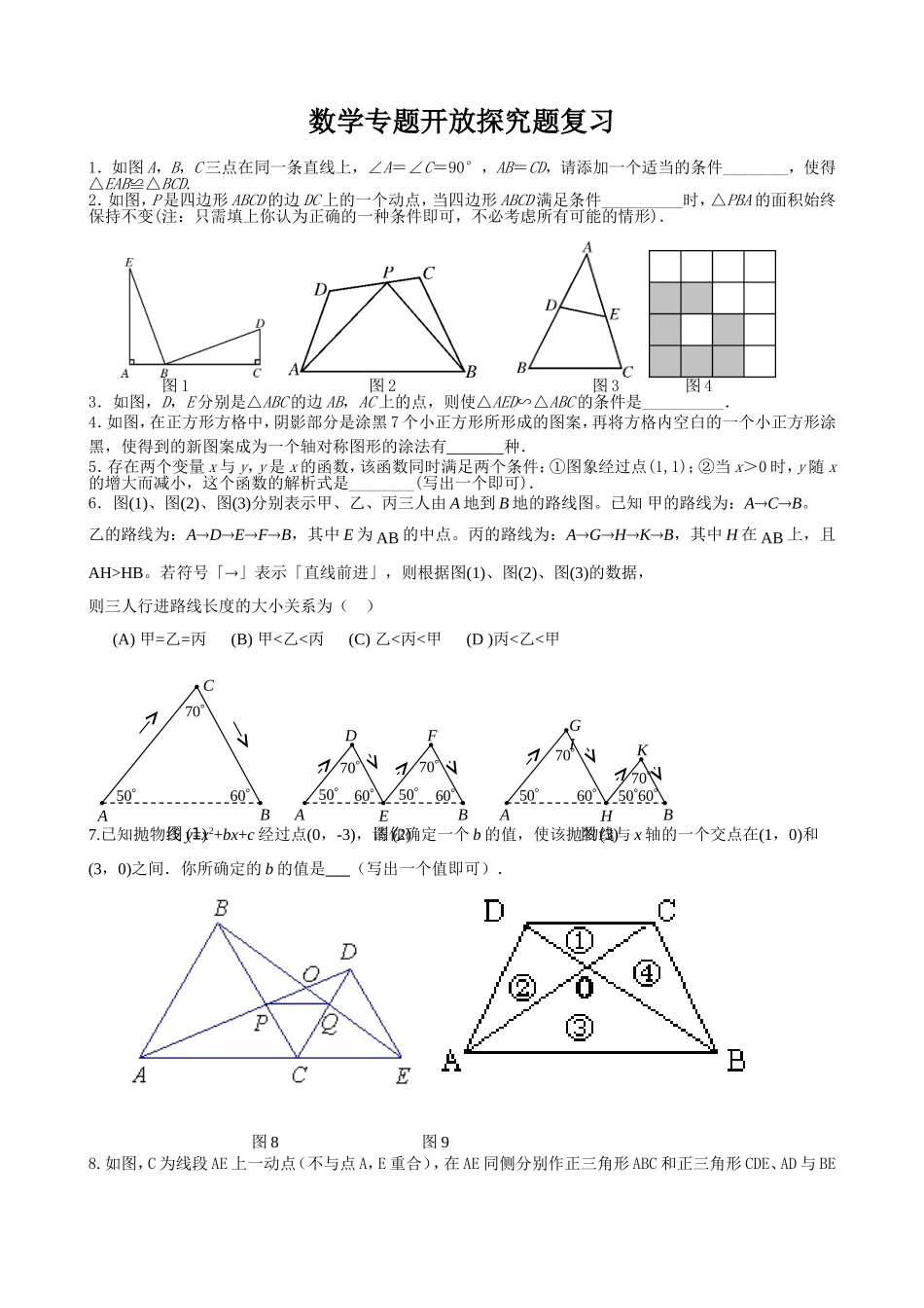 专题复习开放探究题_第1页
