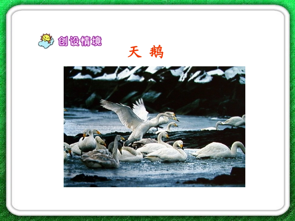 天鹅的故事2_第3页