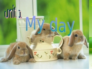五年级Myday