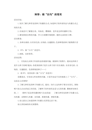 骑“白马”的苍耳