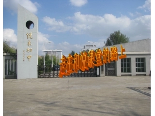 消化和吸收的过程