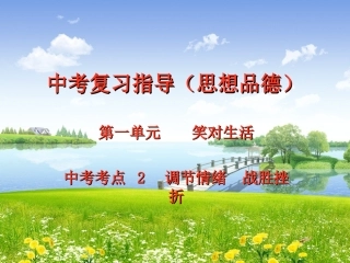 【江苏中考面对面】2015届中考思想品德九年级复习（苏教）+考点2+调节情绪+战胜挫折（共31张）