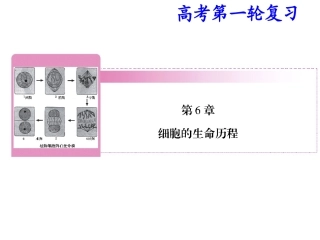 细胞增殖一轮复习