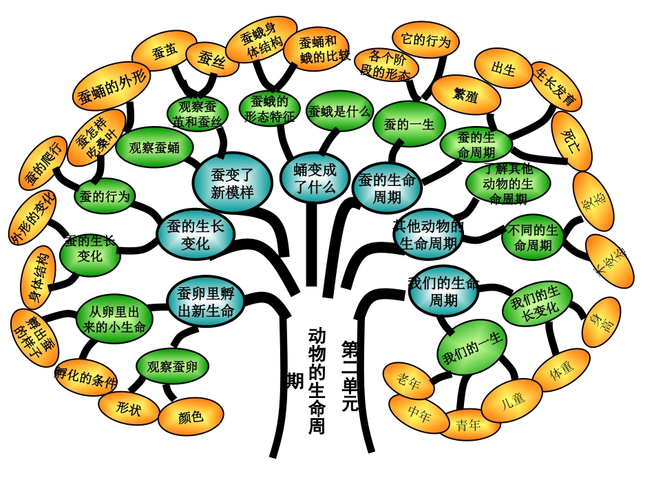 《我们来养蚕》知识树_第1页