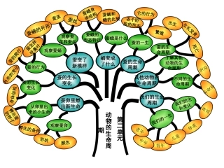 《我们来养蚕》知识树