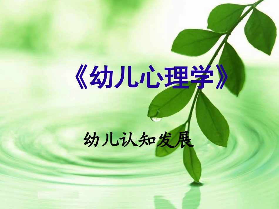 幼儿心理学(幼儿认知发展)----1_第1页