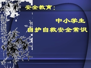 安全教育课件【PPT】