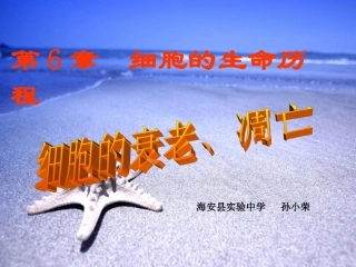 细胞衰老和凋亡