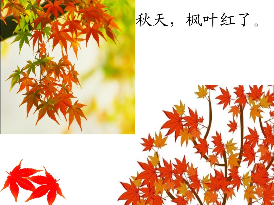 苏教版语文一上7、秋姑娘的信课件_第2页