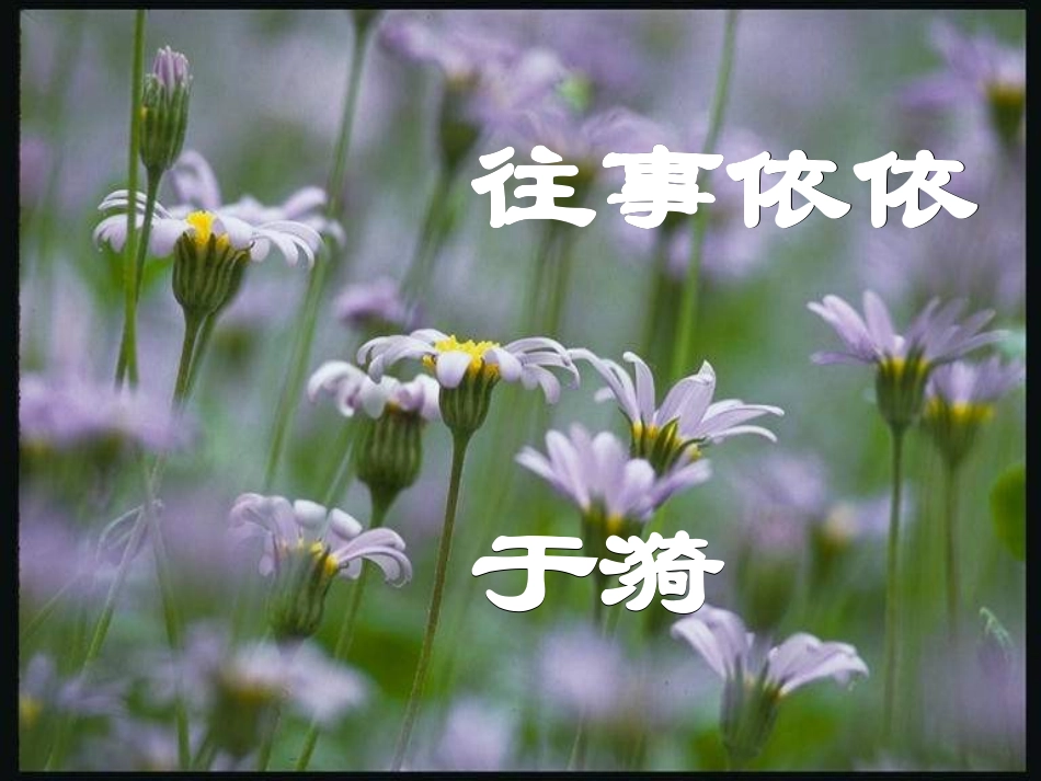 往事依依第一课时_第1页