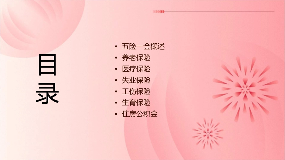 五险一金知识讲座通用课件1_第2页