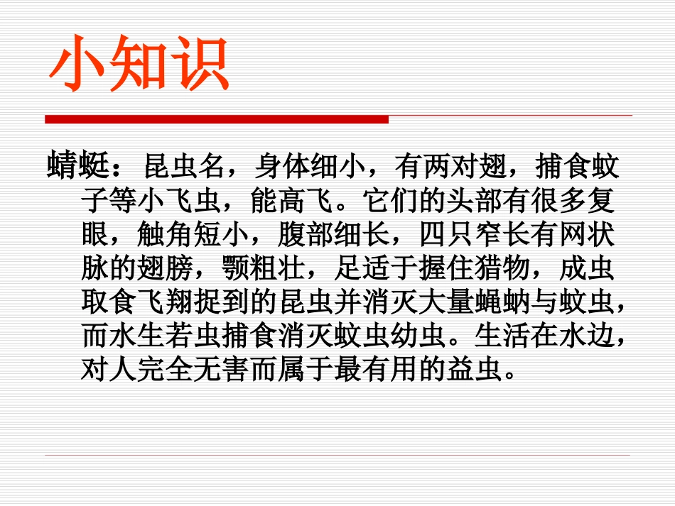 《放飞蜻蜓》PPT课_第2页