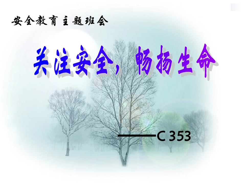 安全教育主题班会 (3)_第1页