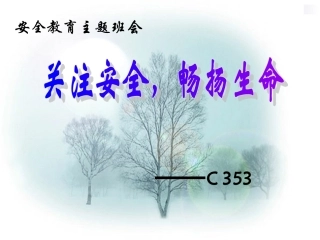 安全教育主题班会 (3)