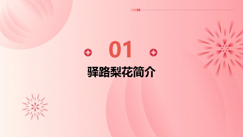 驿路梨花(修改版)课件_第3页