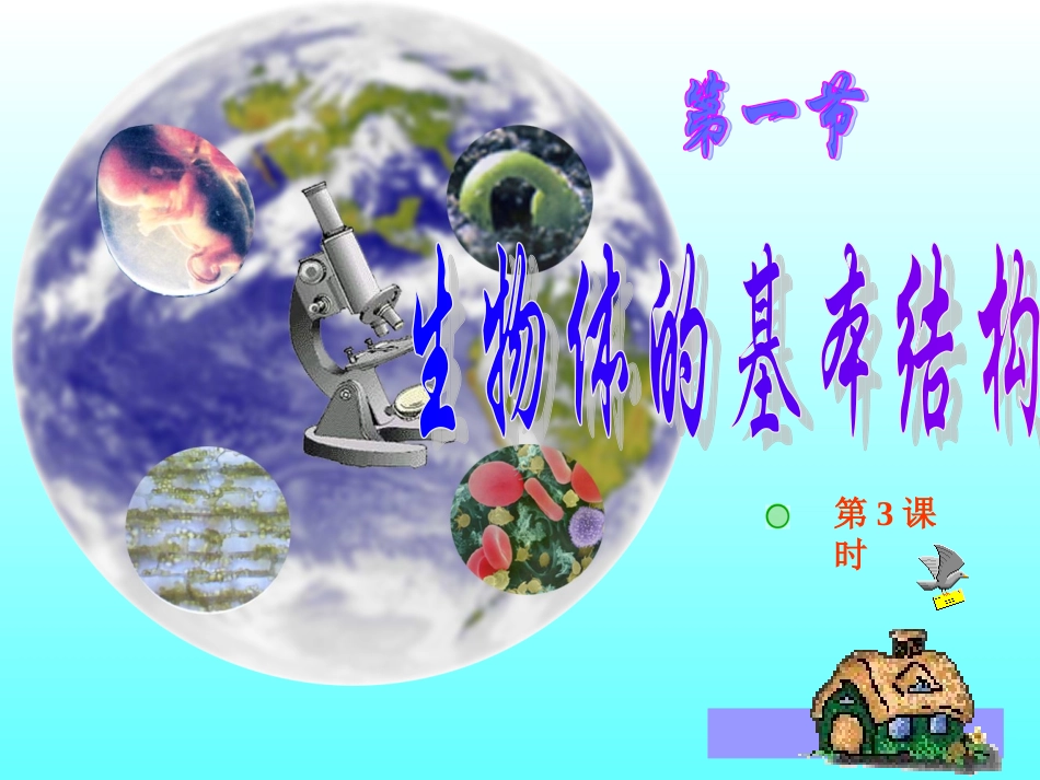 生物体的基本结构第三课时_第1页
