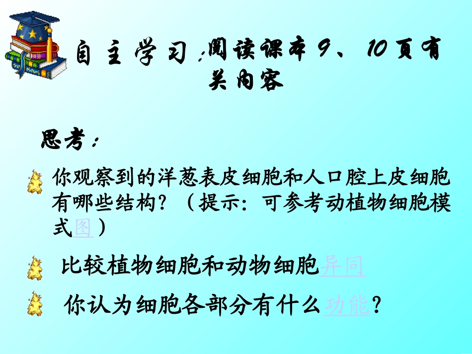 生物体的基本结构第三课时_第3页