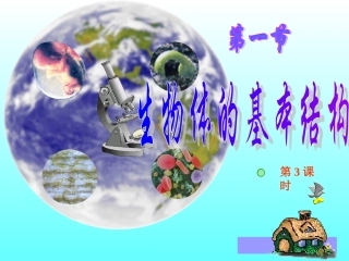 生物体的基本结构第三课时