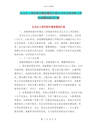 亿元以上项目招引建设情况汇报与今年以来农林工作完成情况报告汇编