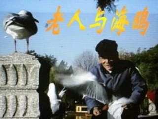 《老人与海鸥》课件