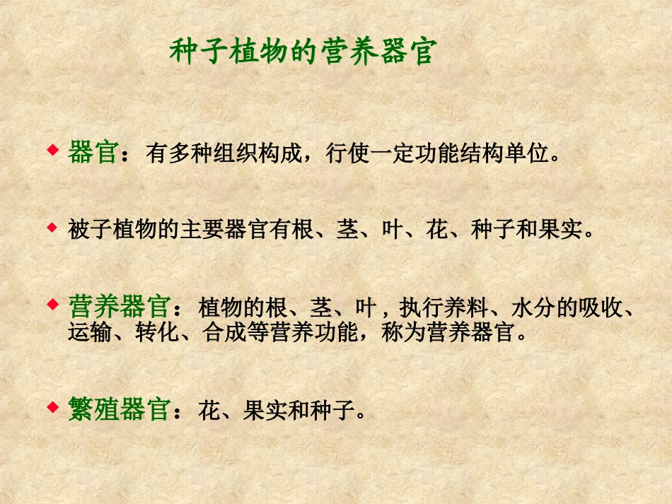 根的初生结构和初生生长_第2页