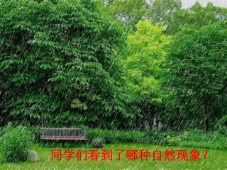 苏教四年级上册《桂花雨》课件