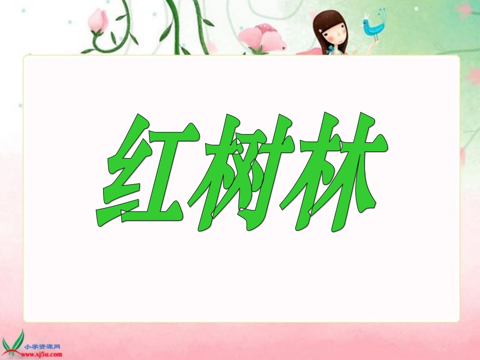 北师大版五年级语文上册《红树林》PPT课件_第1页