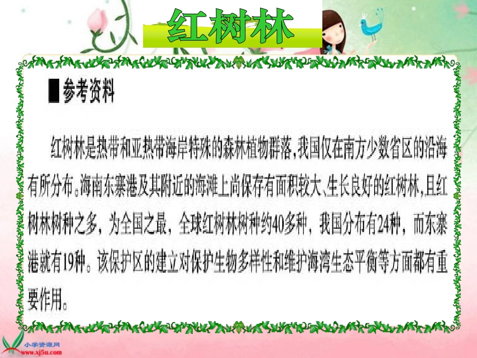 北师大版五年级语文上册《红树林》PPT课件_第2页