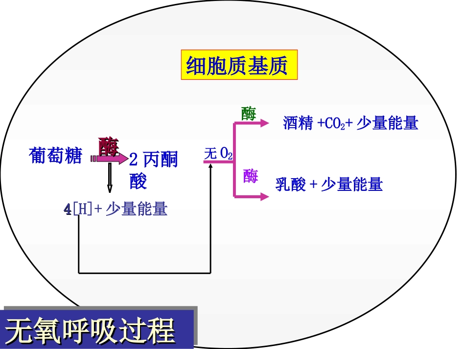 光合作用呼吸作用常见题型解析_第3页