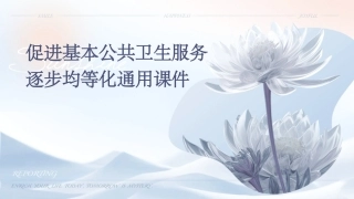 促进基本公共卫生服务逐步均等化通用课件