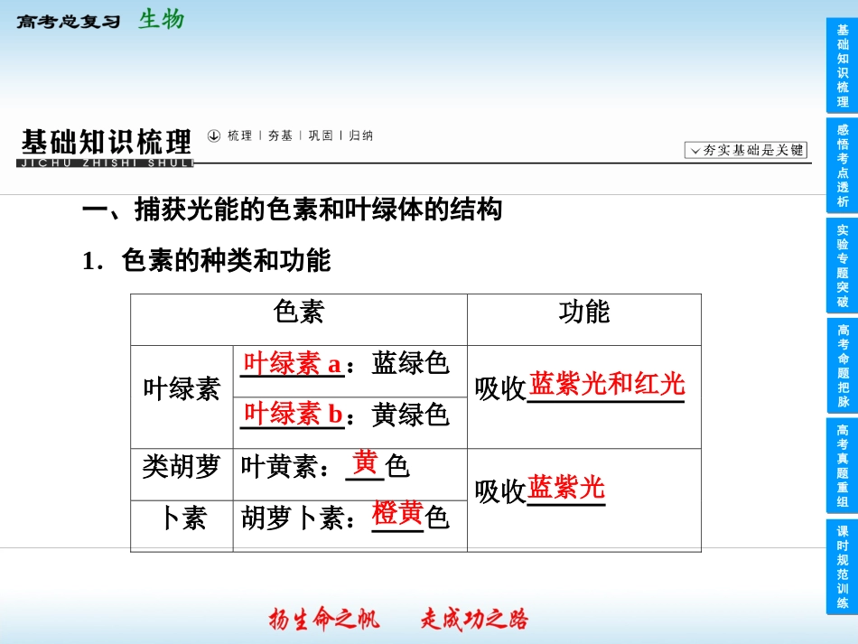 光合作用一轮复习课件_第3页