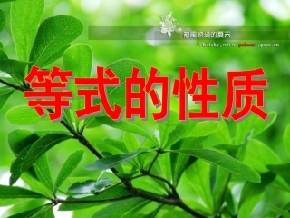 等式的性质(第一课时)