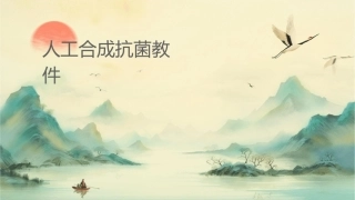 人工合成抗菌药教学课件1