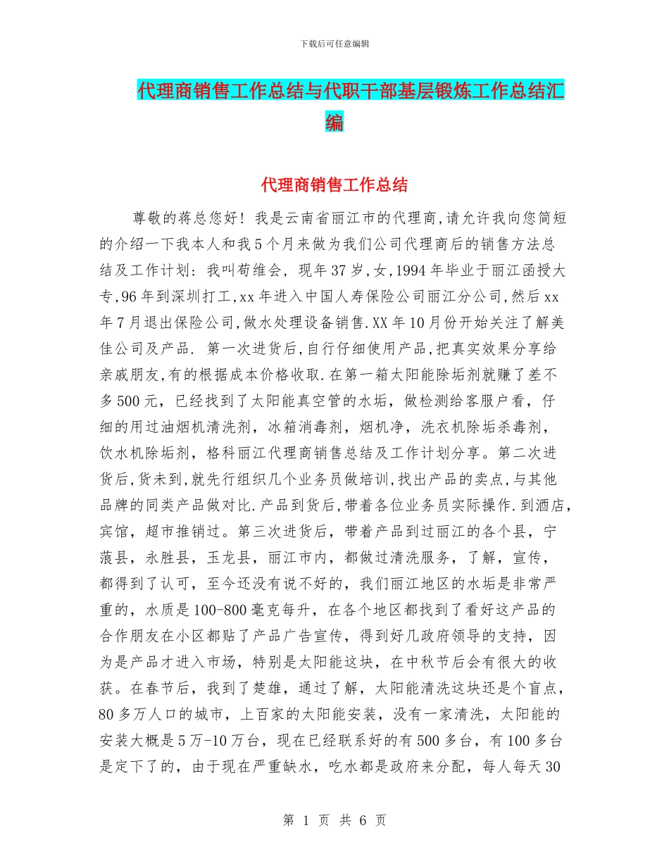 代理商销售工作总结与代职干部基层锻炼工作总结汇编_第1页