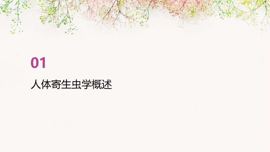 人卫版人体寄生虫学蛛形纲教学护理课件_第3页