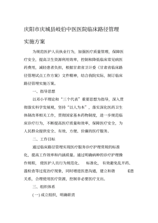 临床路径实施方案