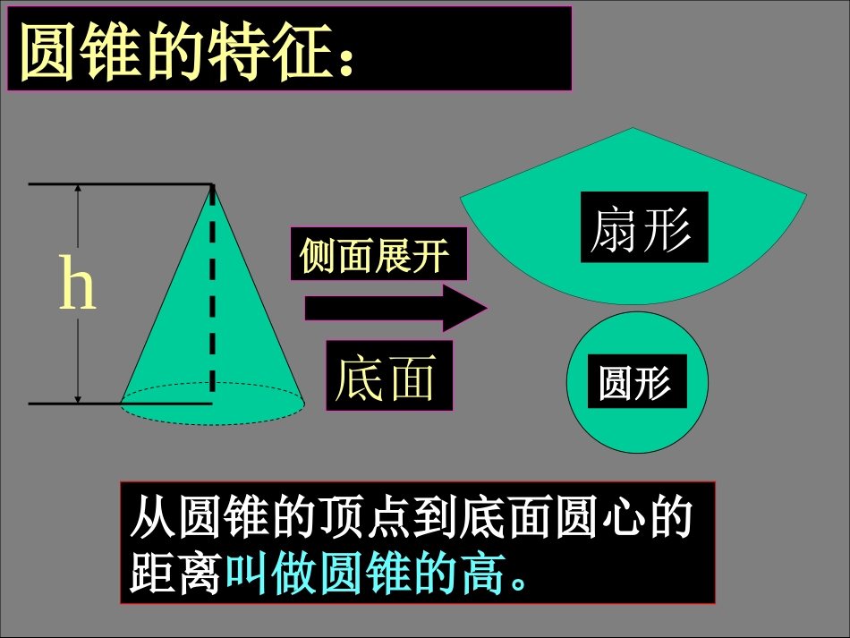 圆柱和圆锥的复习课_第3页