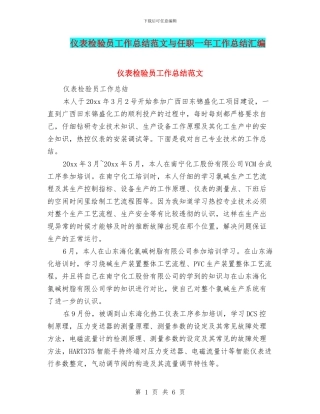 仪表检验员工作总结范文与任职一年工作总结汇编
