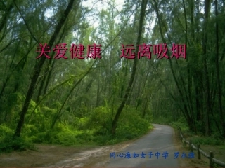 吸烟对身体的危害主题班会