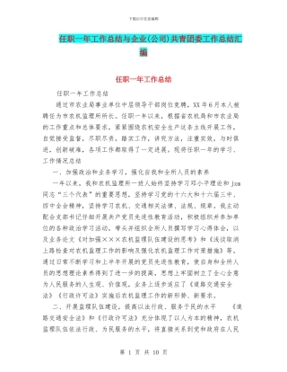 任职一年工作总结与企业共青团委工作总结汇编