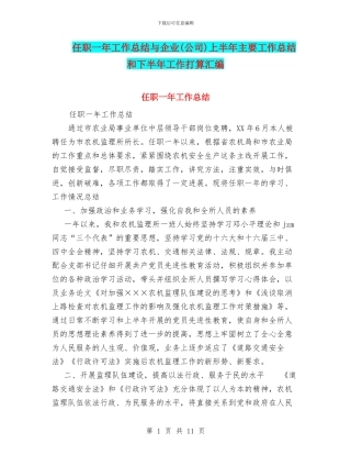 任职一年工作总结与企业上半年主要工作总结和下半年工作打算汇编