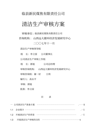 临新民焦化方案