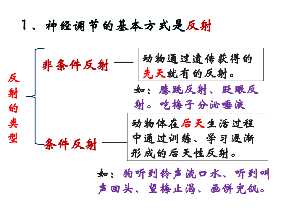 通过神经系统的调节_第3页