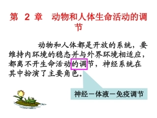 通过神经系统的调节