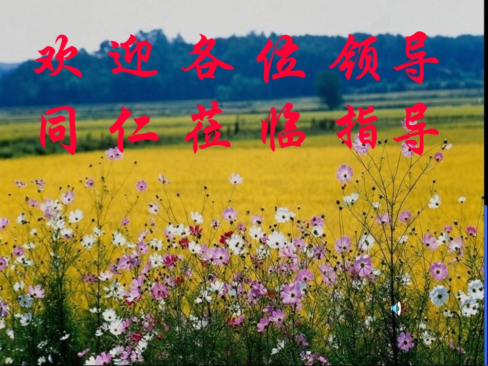 指数函数-陈刚_第1页