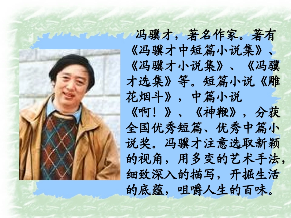 五语上珍珠鸟课件_第2页