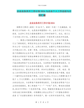 企业业务员月工作计划2024与企业个人工作总结与计划汇编