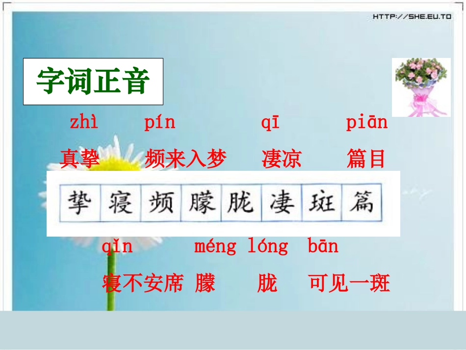 怀念母亲课件PPT_第3页